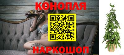 круглые Лесосибирск