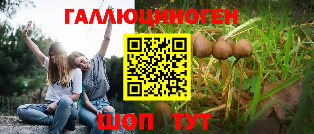 Псилоцибиновые грибы мицелий  Вход с VPN  закладки  Галлюциногенные грибы Magic Shrooms  Горно-Алтайск 
